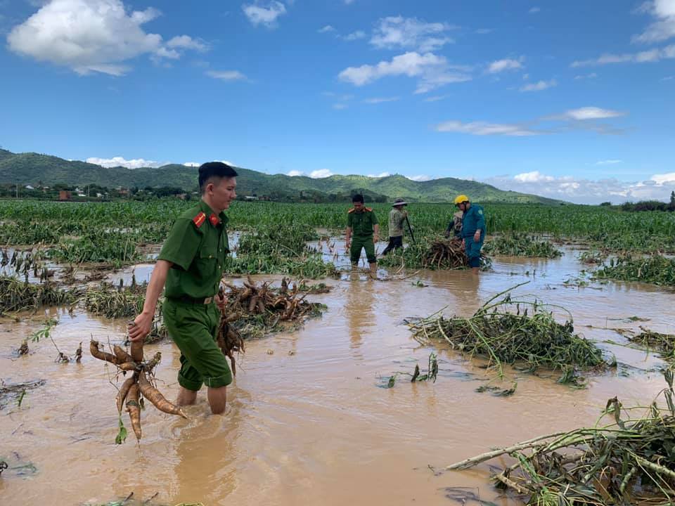 Lực lượng Công an huyện Krông Bông giúp dân gấp rút thu hoạch hoa màu | Tin tức Krông Bông